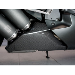 HONDA CBR1000RR 2008-2011 GPX2-UE Carbon Cover